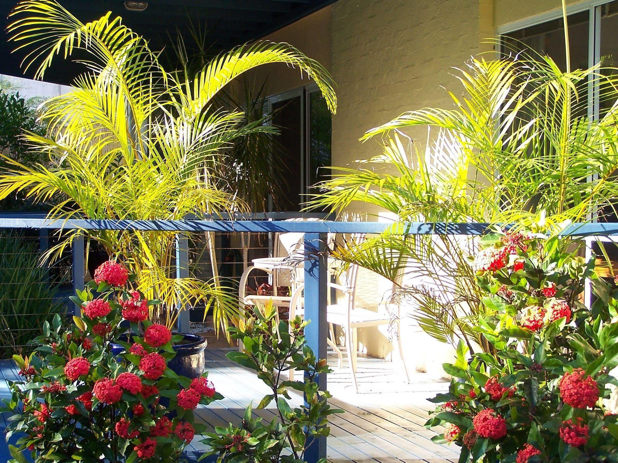 Azura Beach House B&B Port Macquarie Exterior photo